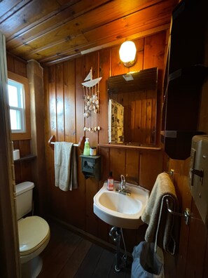 Regadera, secadora de cabello, toallas, papel de baño 