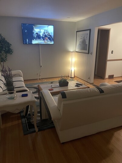 House in a quiet neighborhood 13 mins from downtown, airport and mall of america