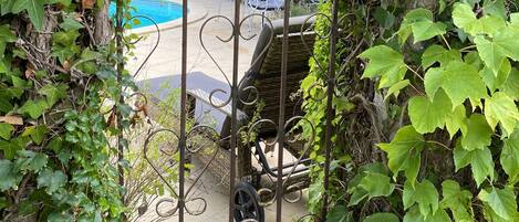 A garden area with a pool, surrounded by dense foliage and a metal pergola.