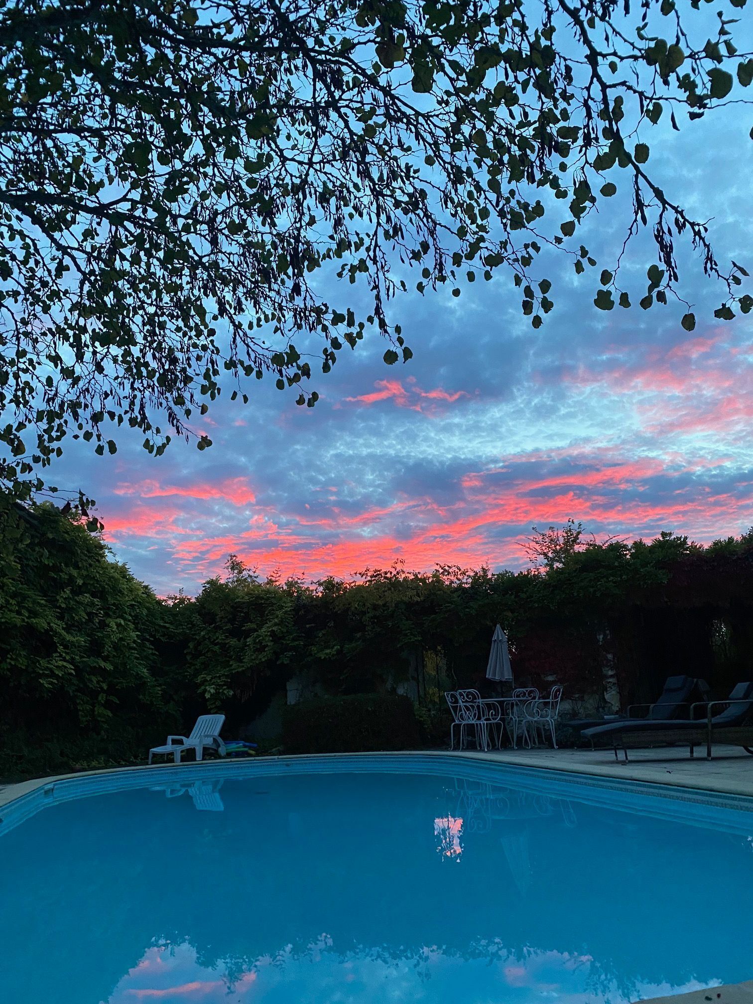 A swimming pool with lounge chairs and umbrellas, surrounded by greenery and a sunset sky.