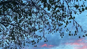 Piscina con sillas de descanso y sombrillas, rodeada de vegetación y un cielo al atardecer.