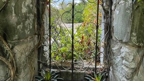 A stone-walled window with a metal gate, surrounded by greenery and plants. - Farmhouse Sleeps 11 with Shared Pool (Eymet)