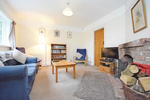 A cozy living room with a sofa, a coffee table, a bookshelf, a television, and a fireplace.
