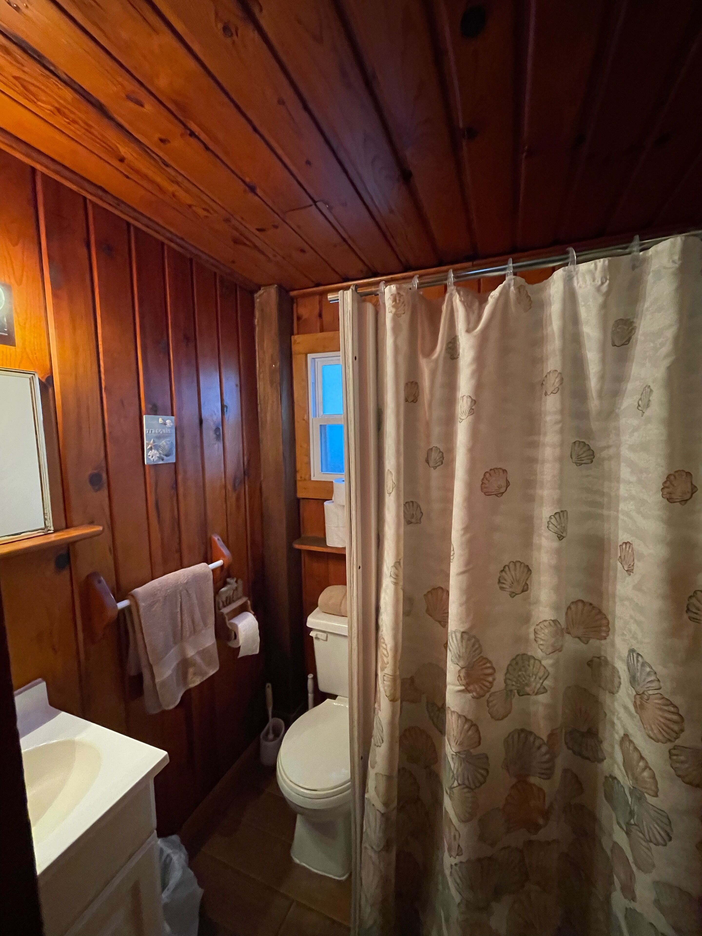 Douche, serviettes fournies, papier toilette