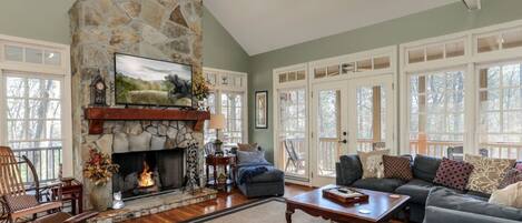 Televisión, chimenea y reproductor de DVD