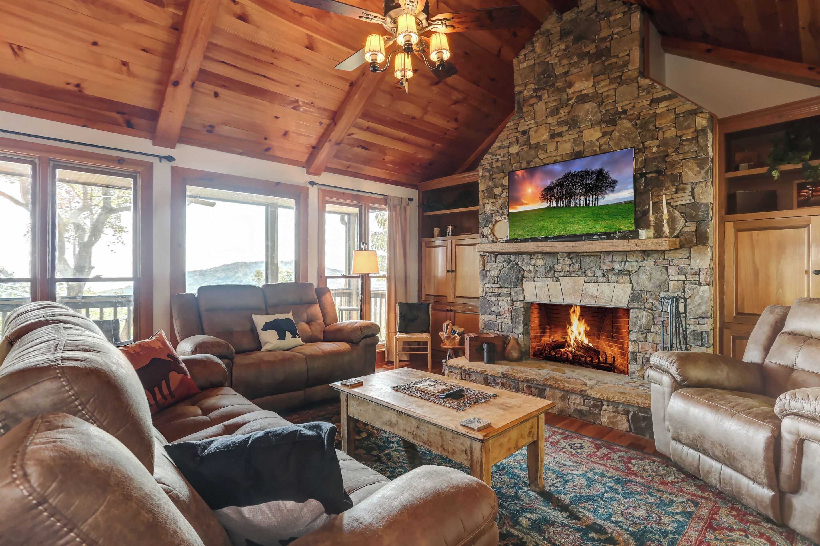 Télévision, cheminée, Netflix, lecteur de DVD