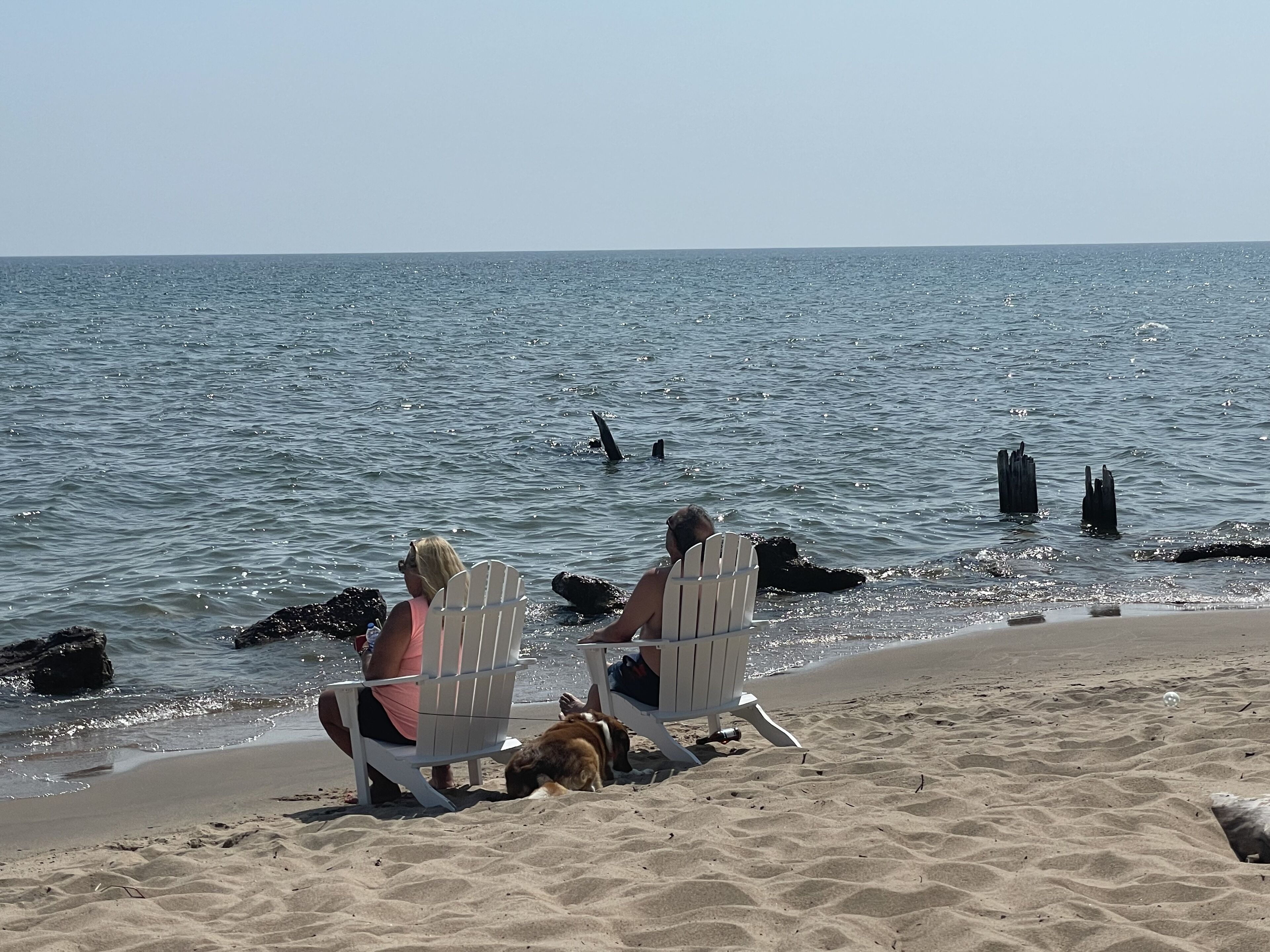Dos personas sentadas en sillas de playa mirando al océano, con un perro en primer plano.