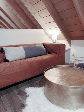 Smart TV, fireplace, books