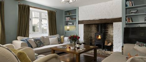 TV, fireplace, books