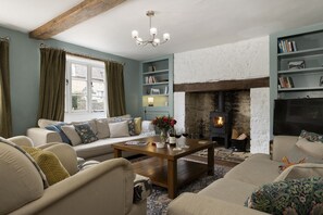 TV, fireplace, books