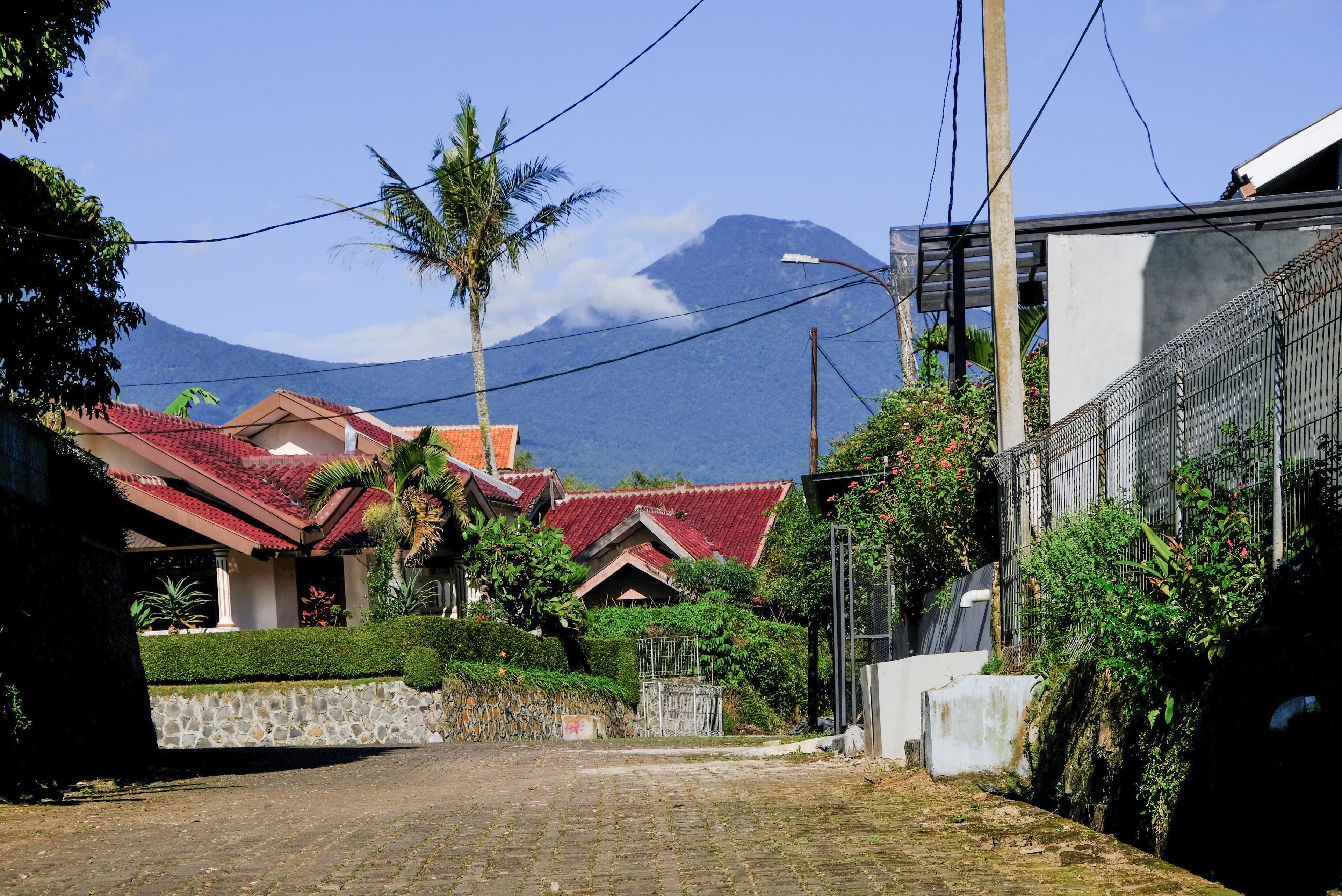 Classic Herman by Broga