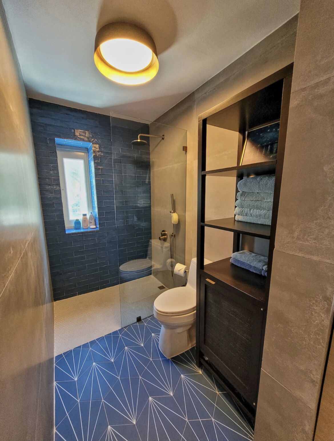 Regadera, secadora de cabello, toallas, jabón 