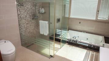 Hair dryer, slippers, bidet, towels