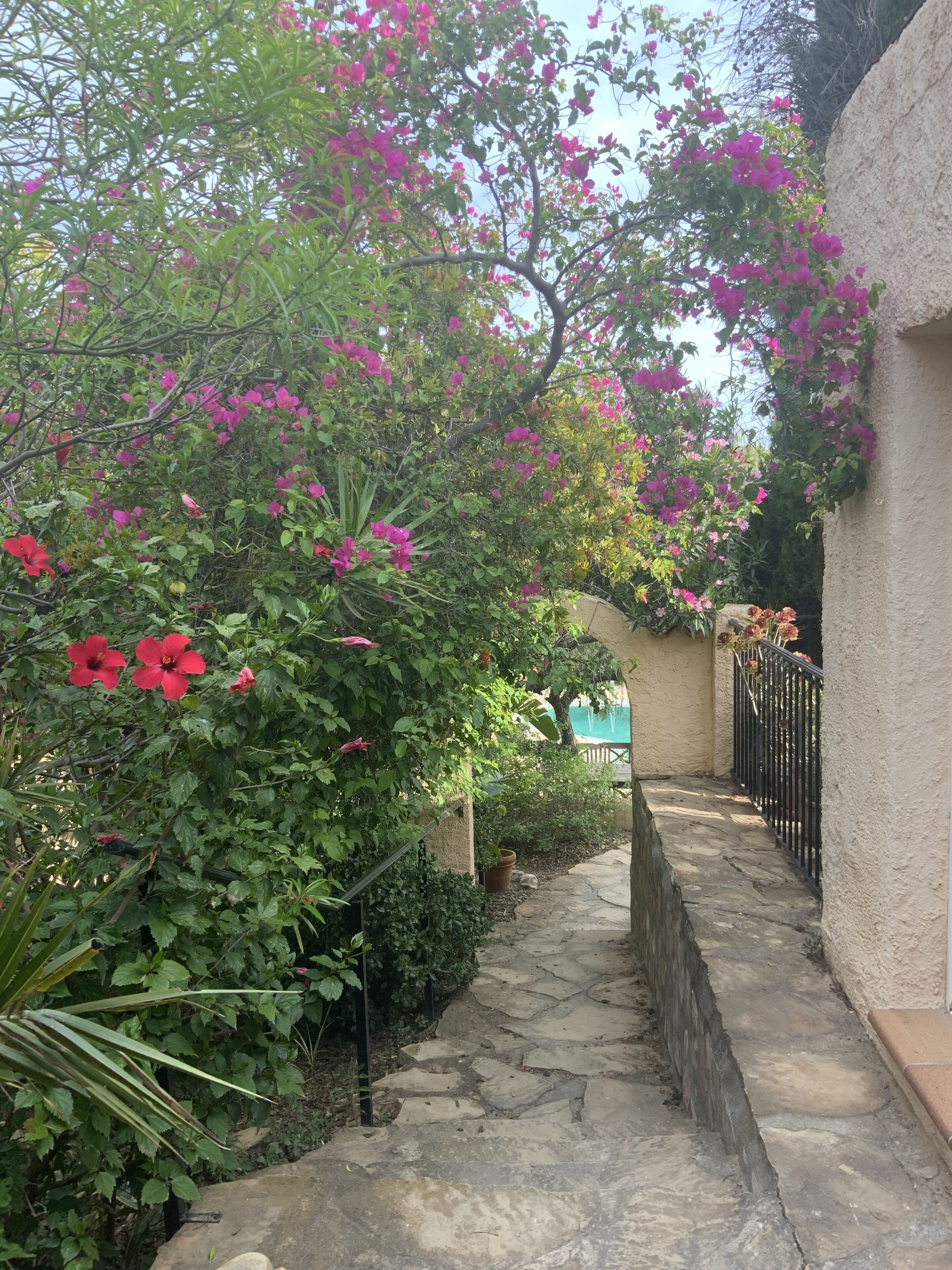 Jardines del alojamiento