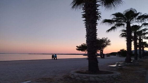 A beach with palm trees and a calm sea at sunset. - Apartment Barbara (Vir)