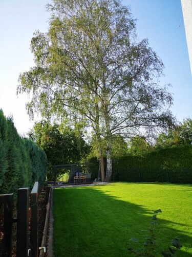 Birkenblick - Holiday apartment Unne