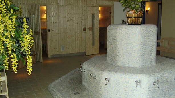 A spa area with a central fountain, wooden panel walls, and a potted plant. - Vacation home in Nessmersiel 20-007a - 200-007a (Dornum)