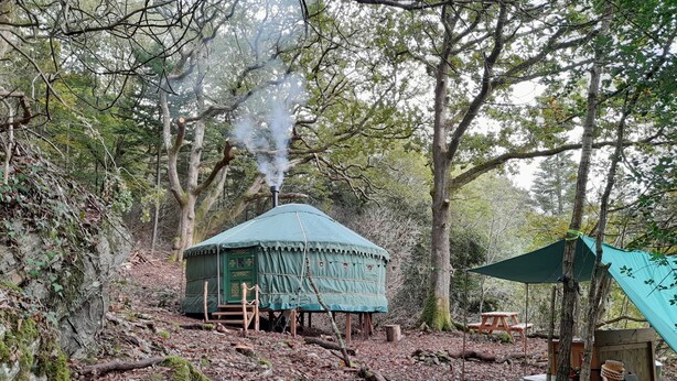 A yurt with a smoke stack, surrounded by forest.