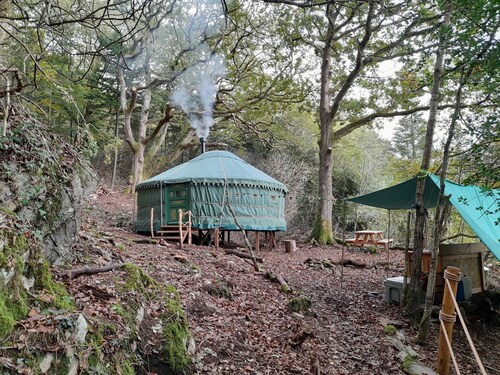 Magical Woodland Yurt with stunning mountain and estuary views