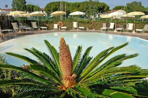 Área de piscina com espreguiçadeiras e guarda-sóis, cercada por vegetação.