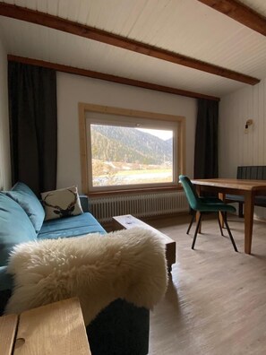 Living area - Apartment with mountain view | great skiing and hiking area | near Bad Gastein (Mallnitz)