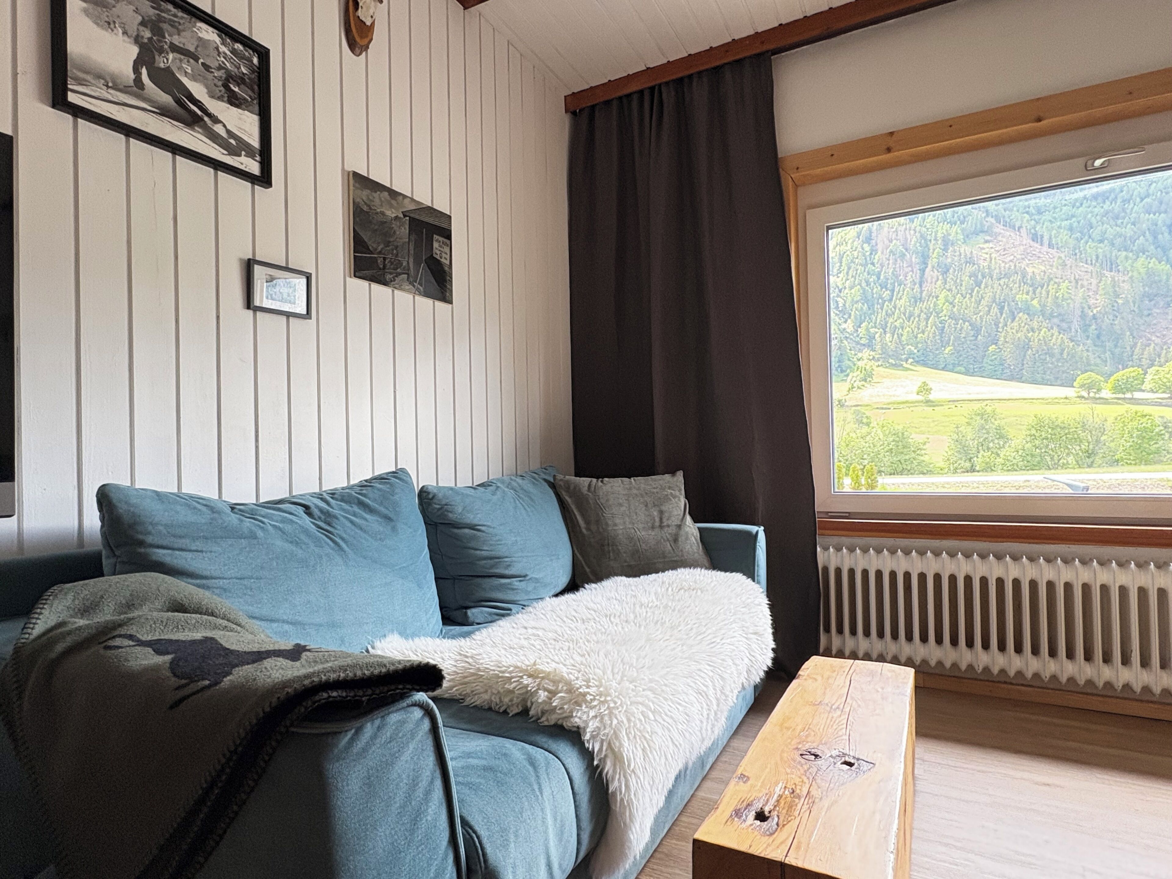 Une pièce avec un canapé, une fenêtre donnant sur une forêt et un radiateur.
