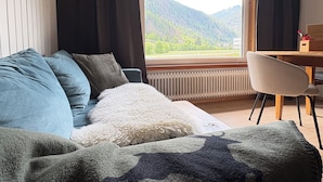 Una habitación con un sofá, una silla, una ventana con vista a montañas y un radiador.