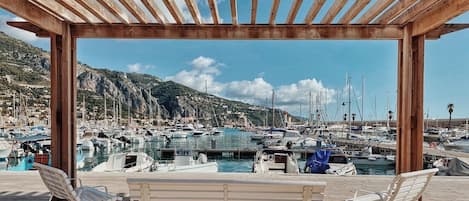 テラス / パティオ