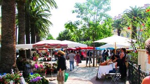 Un mercato all'aperto con bancarelle e persone che fanno acquisti.