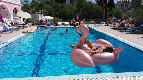 Bar (en el alojamiento)