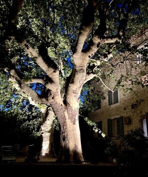 Exterior - Stately property with 3 tennis & sport courts and a large pool, village 5' walk (Callas)