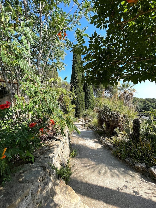 A garden pathway with stone walls and various plants.