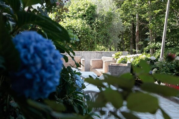 Terrace/patio - bed & Breakfast (Manteigas)