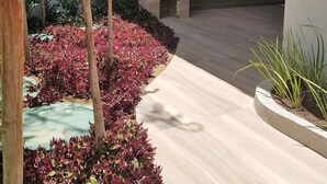 Un espace extérieur aménagé en patio, doté d’un sol en béton et entouré de petits arbustes et d’arbres.