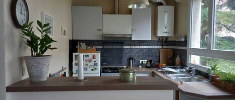 Fridge, oven, coffee/tea maker, electric kettle