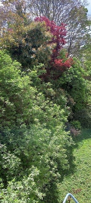Property grounds - Through-apartment in a wooded residence (Montreuil)