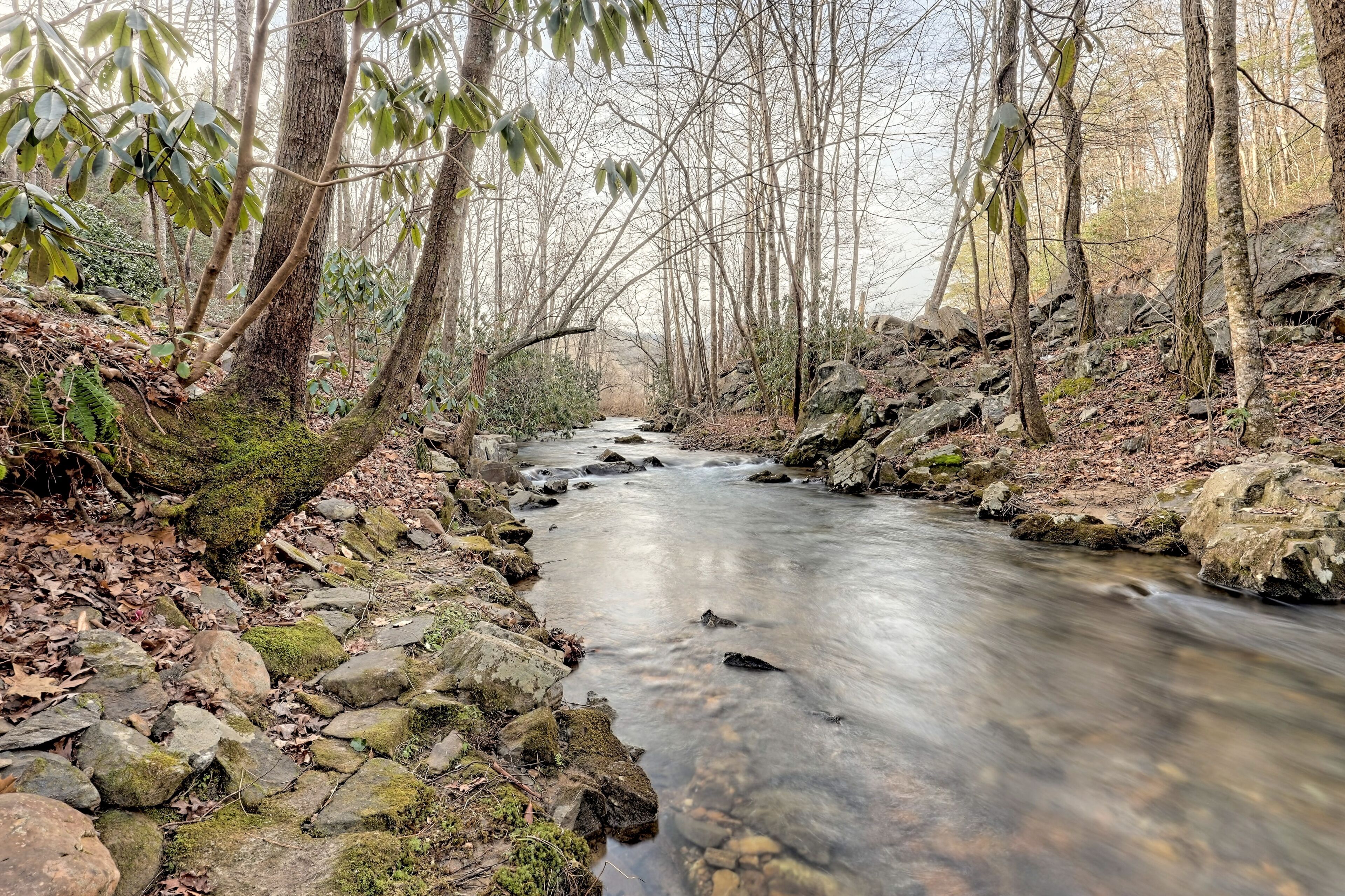 Compass Cottage 1 on Fodder Creek near Brasstown Bald  Hiawassee, GA