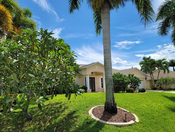 A well-maintained lawn with a palm tree and various shrubs.