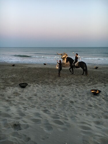 Apartment T2 air-conditioned - Beach - Downtown