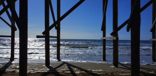 Eco house near dunes, beach and cultural cities