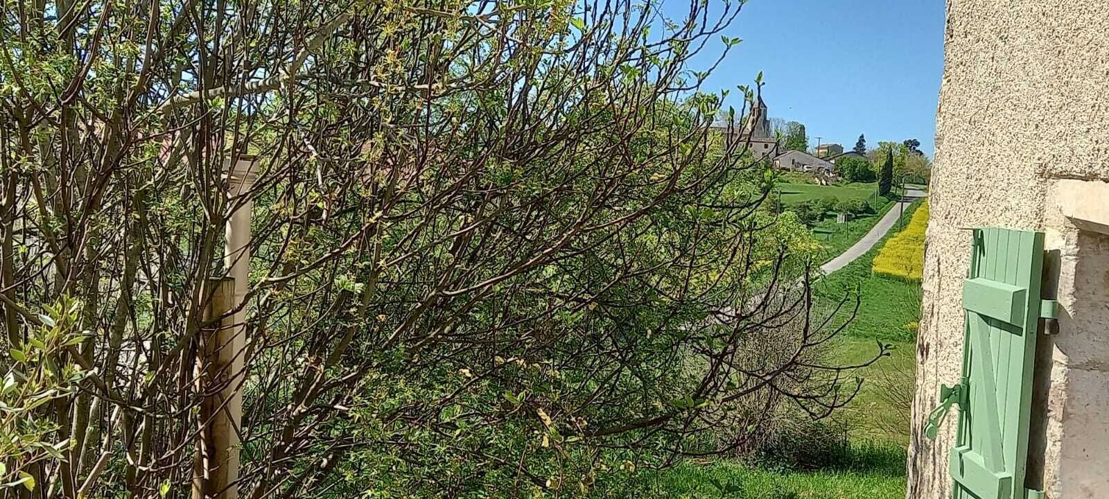 Vista de un paisaje rural con un edificio y una puerta con contraventanas verdes.