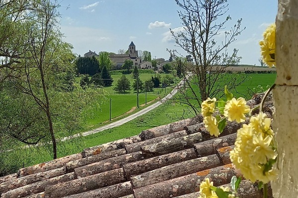 Detalle del exterior