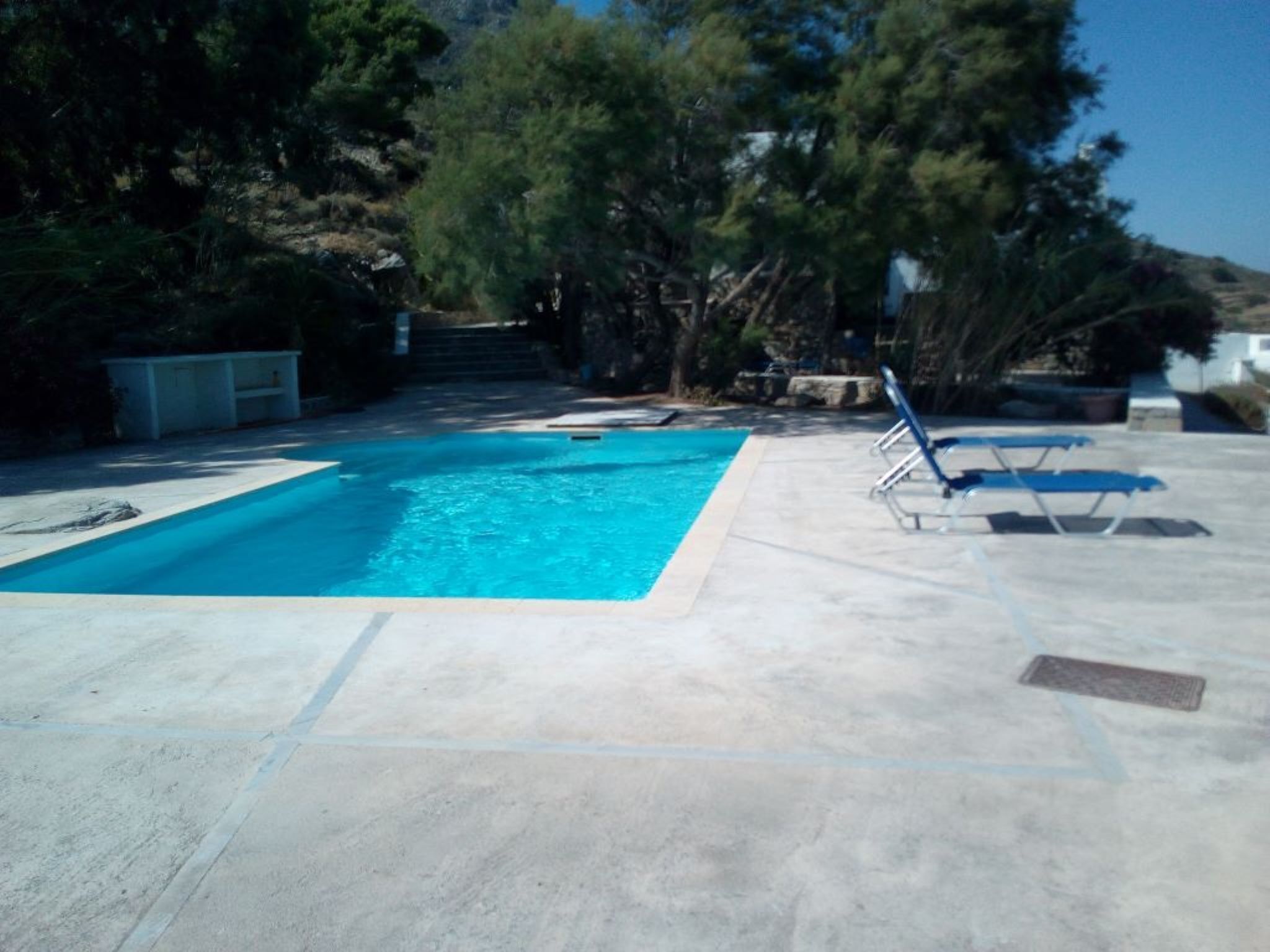 Ein rechteckiger Pool mit Fliesen umgeben von Bäumen und einer Steinmauer.