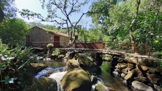 Un pont de pierre rustique enjambe un petit ruisseau, entouré d’une végétation luxuriante et d’un bâtiment en pierre doté d’une porte rouge.