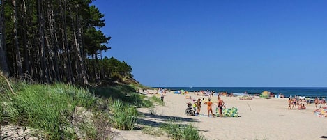 Playa en los alrededores