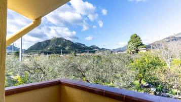 Ărea da propriedade