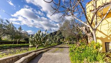 Ărea da propriedade