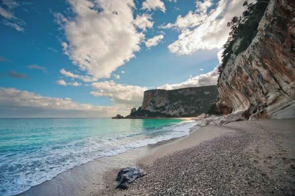 Playa