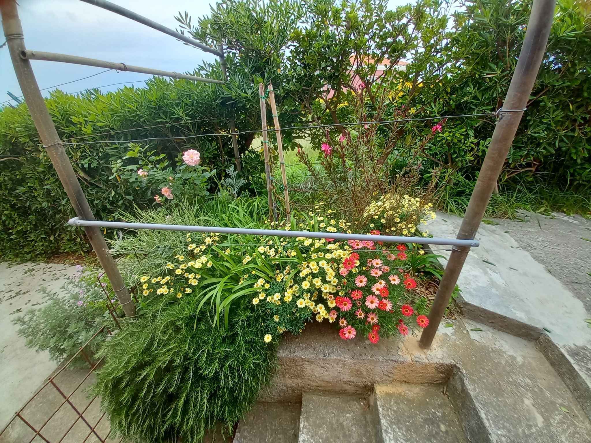 Un jardin avec une clôture en métal, diverses plantes et fleurs.