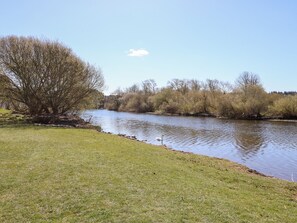A river with a grassy bank and trees.